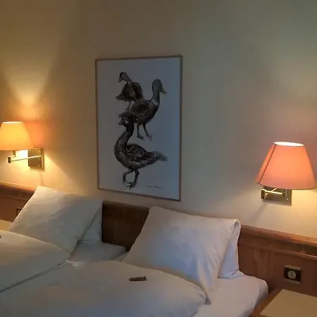 Albergo Faido Faido